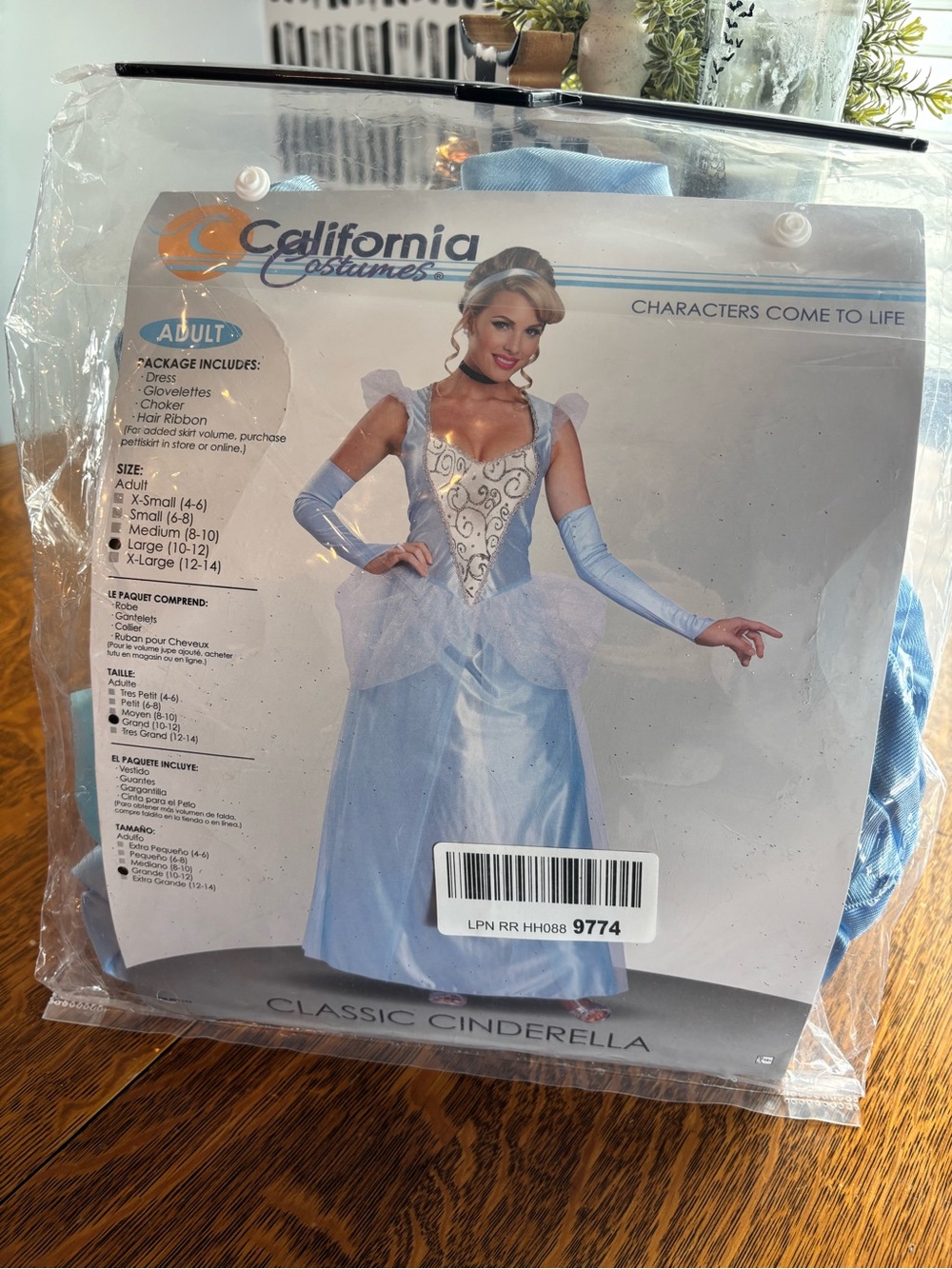 Women’s Cinderella Costume - Large